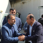 آجر نما